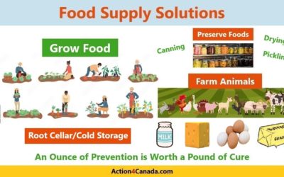 URGENT: Food Security Preparing for Hard Times and Making Healthy Choices