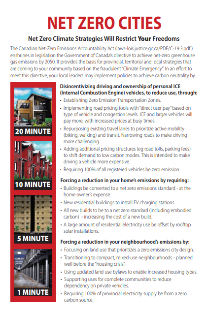 Net Zero Flyer