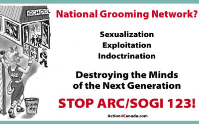 National Organized Sexual Grooming of Minors Network