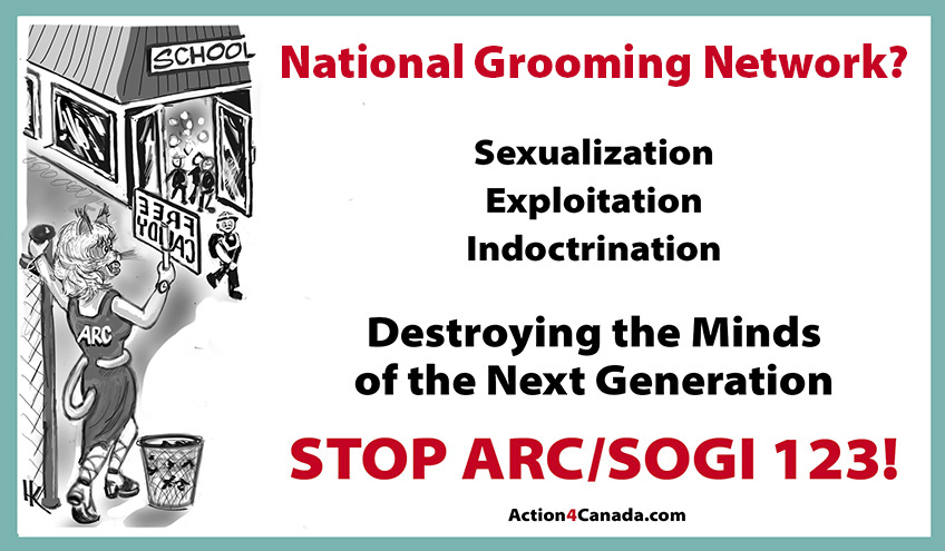 National Organized Sexual Grooming of Minors Network