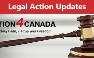 Legal Updates: COVID-19 Case and Tyson Cook, aka Drag Queen Frieda Whales, Case – Sept 2025