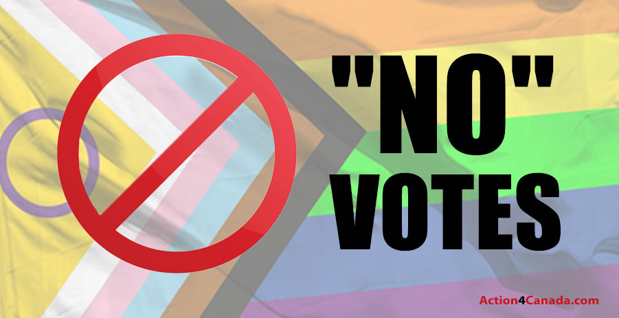 List: Voted No to Flying the Pride Flag