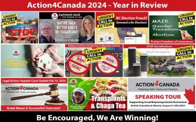 2024 Year in Review