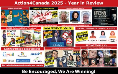 2025 Year in Review