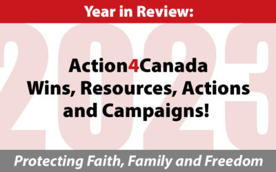 2023 Year in Review: Wins, Resources, Actions and Campaigns